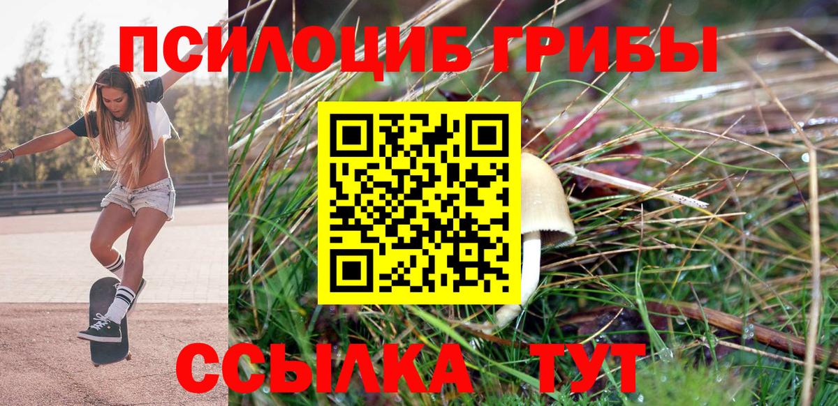 Псилоцибиновые грибы GOLDEN TEACHER Избербаш